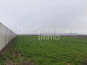 A vendre Terrain 5500m² à BORJ YOUSSEF