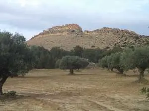 terrain de 1000m sur la route à hammamet 90698407