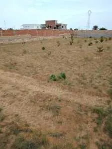 Terrain composé de 2 lots situé à route El Ain km 10.5 à droite 