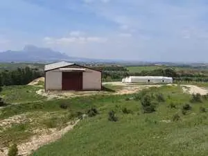 Ferme olives au bord de route