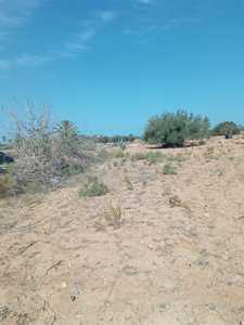 Terrain à Djerba