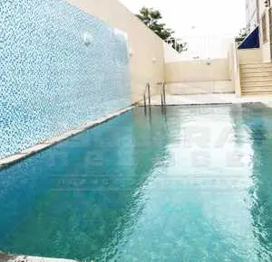 Une Superbe Villa avec piscine aux Jardins de Carthage