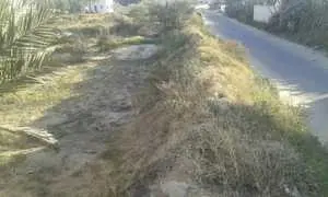 Terrain à Mahboubine jerba.