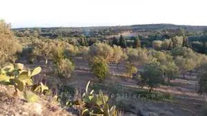 à vendre une ferme de 6 hectares 