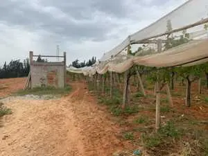 Une ferme de 4 Hectares a Morneg