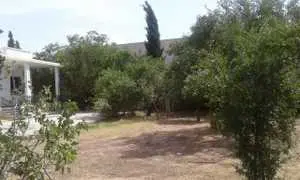 a vendre un terrain et villa 1270m rte de Tunis Sfax