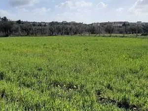 un terrain à sidi hammed barract essahil hammamet