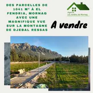 Des parcelles de 1041 m² à El Fendria,Mornag