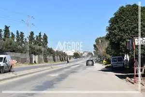 un terrain,situé entre Barreket Sahel et Birr bouragba.