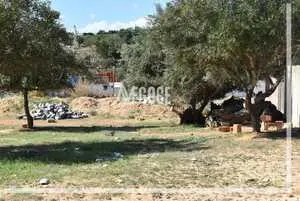 terrain,situé à Kharrouba Hammamet Nord. 