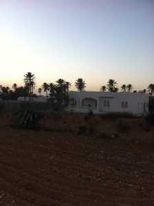 Villa à louer à djerba 98819623