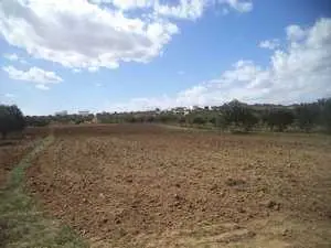 terrain de 6200m² à Monchar-hammamet 90698407