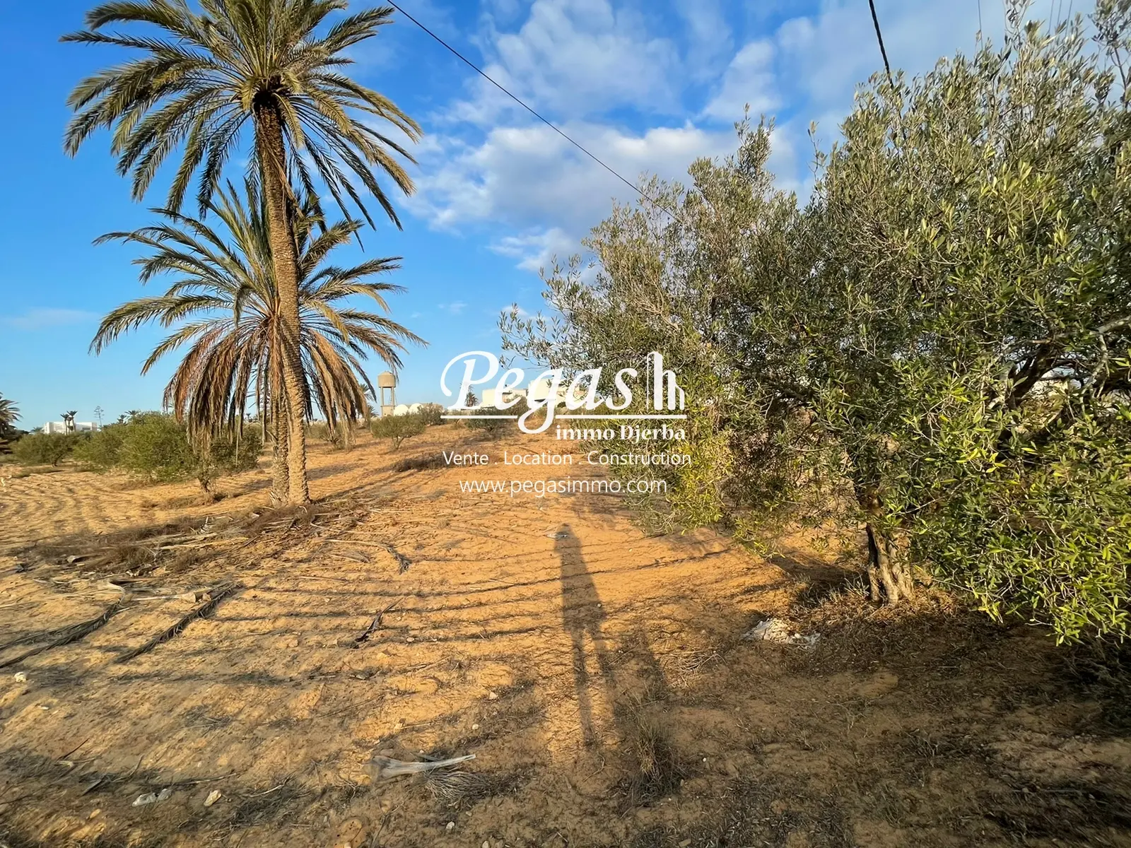 Terrain à vendre à 4 minutes de la plage Seguia