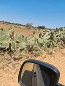 lot de terrain agricol de 6.5 hectar à enfidha sousse