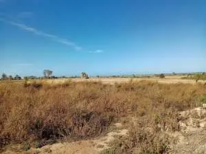 Route Tazarka terrain les pieds dans l'eau à vendre 