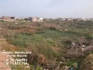 Terrain 800 m2 a Soliman