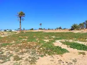 Terrain en montée à mezraya disposant d'une vue mer à pieds titre bleu 