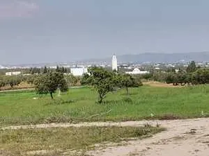 terrain yasmine hammamet