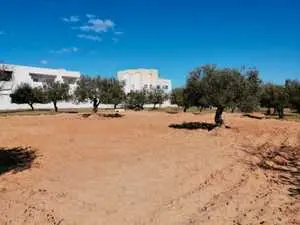 AV un terrain à Kharrouba à Hammamet Nord m