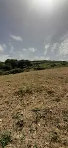 terrain agricole à ras jebel