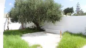 Sidi El Mahressi villa à louer juillet et août 