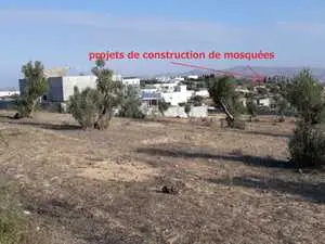 Lot de terrain 1000 m2 a sanhaja - Manouba