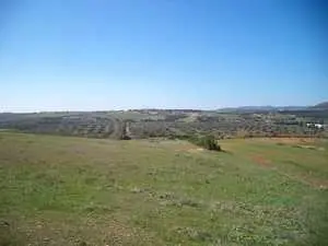 terrain agricole de 28400m titre bleu à hammamet 99202001