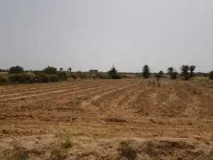 Terrain à Houmt Souk