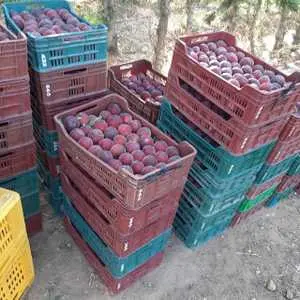 Une belle ferme à vendre