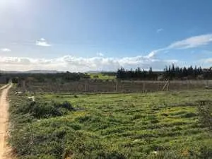 Très bonne affaire,dix minutes de Hammamet