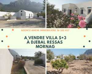 ❤ A vendre très belle villa de standing à Djebel Ressas - Mornag.