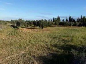 Terrain à kalaa-sghira,sousse