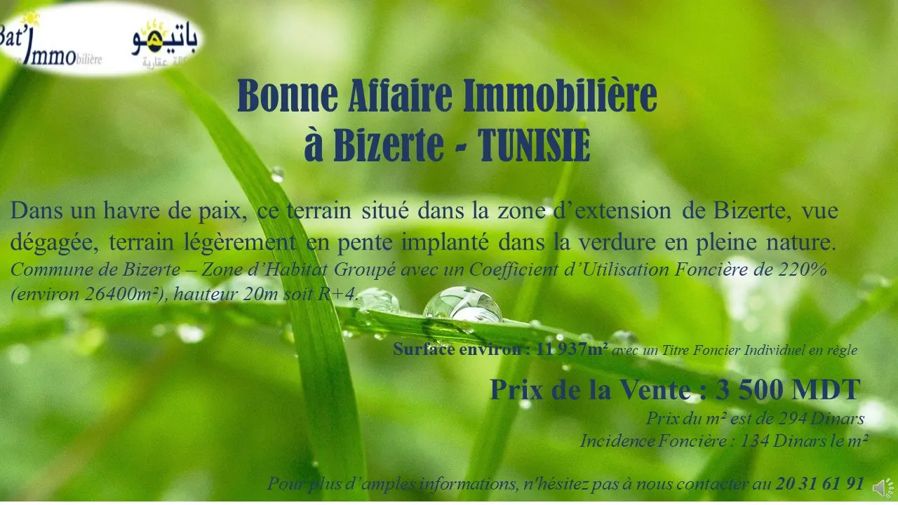 Vous voulez investir dans l'immobilier à bizerte