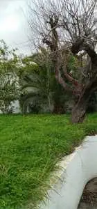 une villa avec Jardin à el Menzah 1
