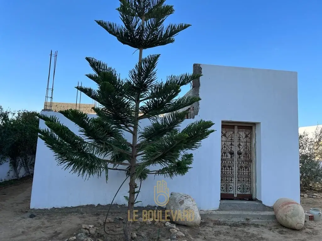 A Vendre Deux Villas Avec Piscine à Hammamet
