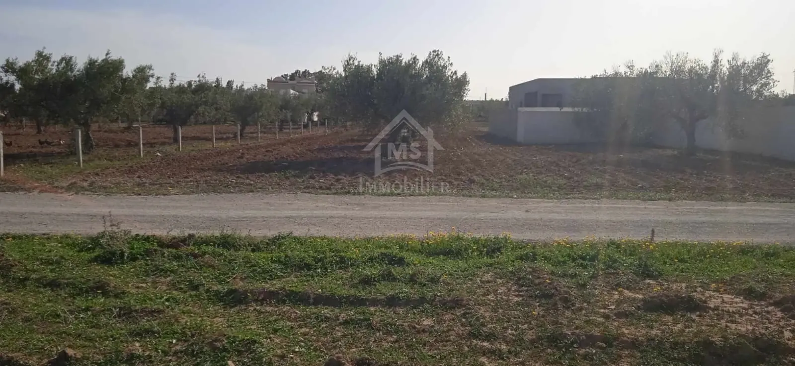 Terrain de 556 m² à vendre à Hammamet Sud 51355351