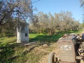 1.7 hectares à Nabeul