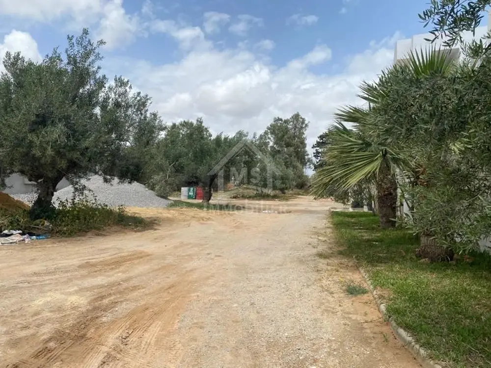 Superbe terrain à la zone touristique Hammamet Nord à vendre 