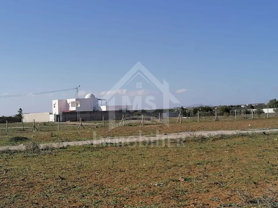 Terrain de 572 m² à vendre à 90 MD à Hammamet Sud 51355351