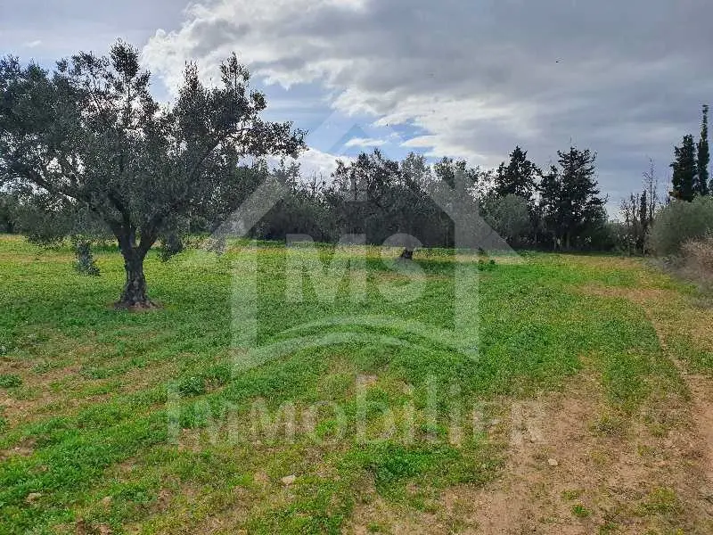 Terrain de 5042 m² à vendre à Hammamet Sud 51355351