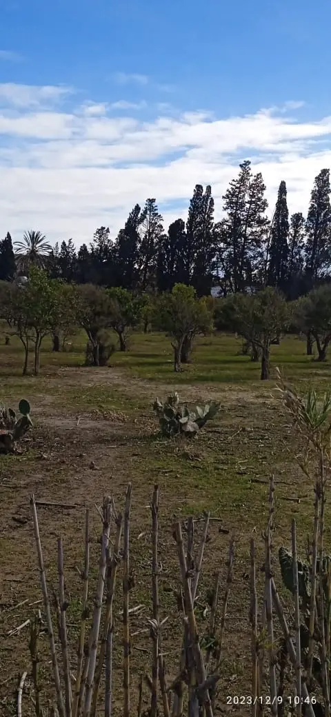 Terrain agricole route de Tunis 