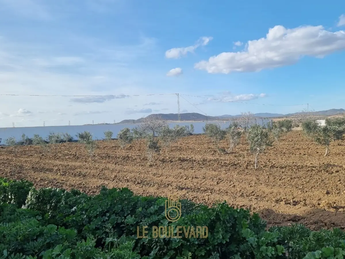 A Vendre Terrain Agricole Clôturé, Situé à Bouficha