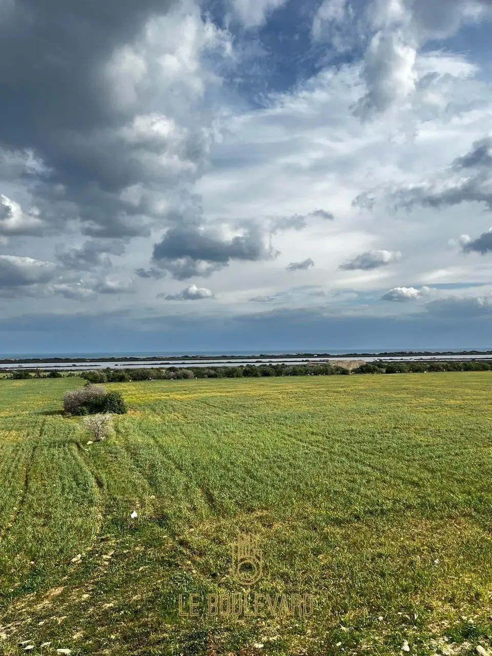 A Vendre terrain au bord de la mer 