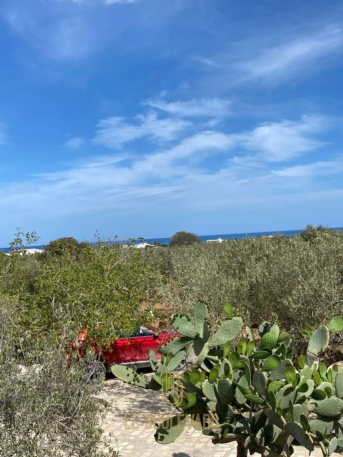 A Vendre Terrain Agricole 4000m² Avec Studio