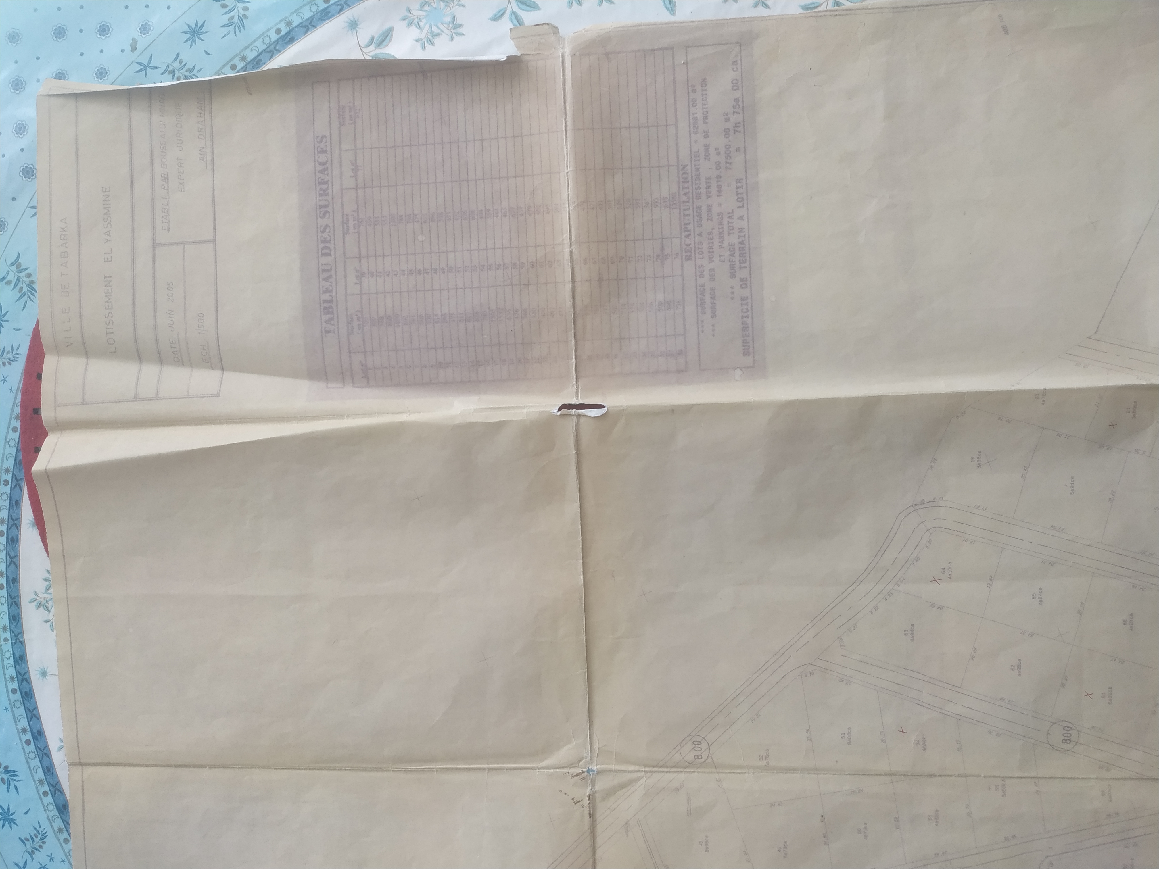 A vendre plusieurs parcelles à TABARKA A OULED AMOR