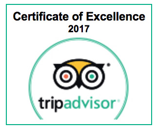 TripAdvisor 2017