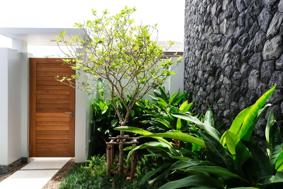 Botanica Foresta 6