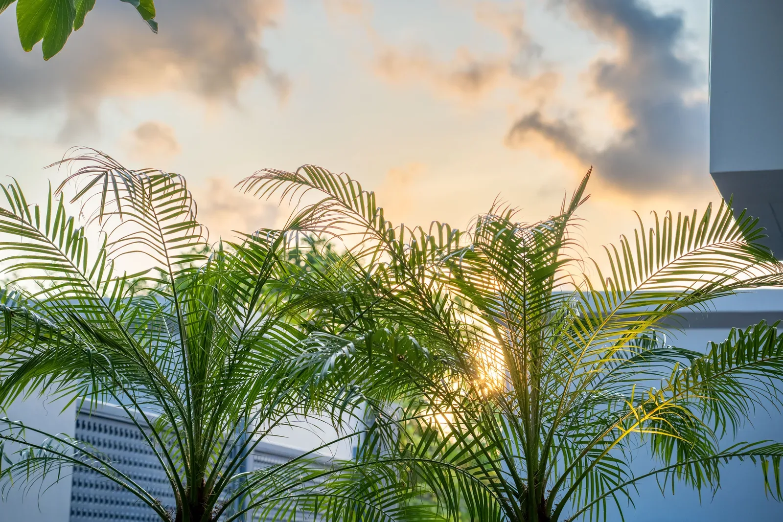 Riverhouse Phuket 9
