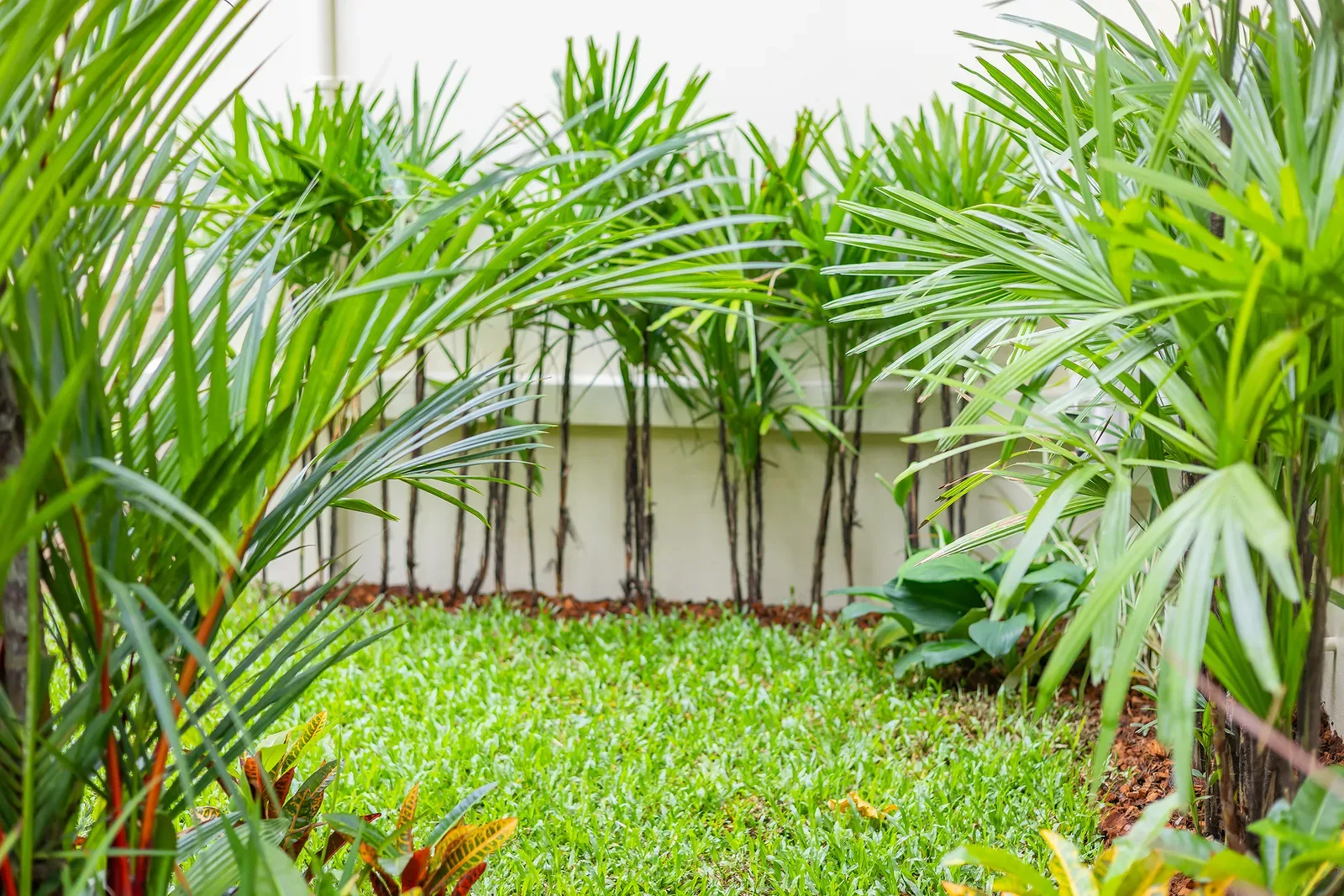 The Laytin Villa 84