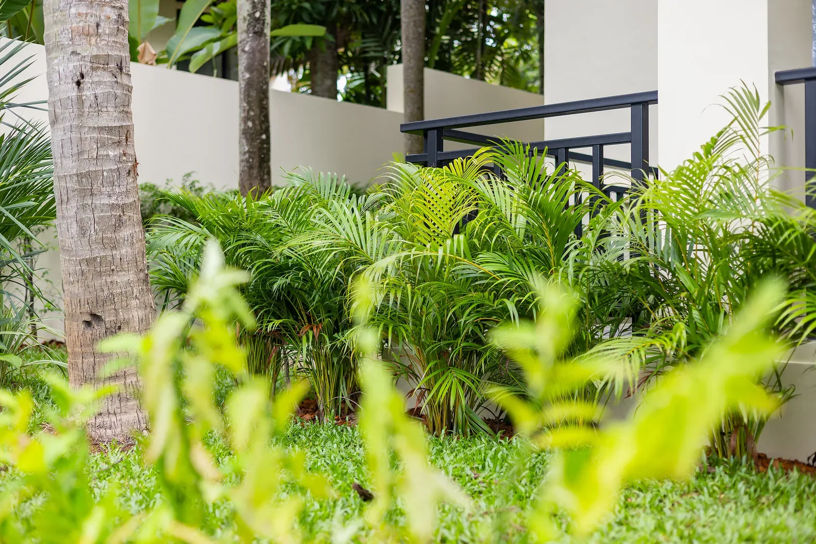 The Laytin Villa 81